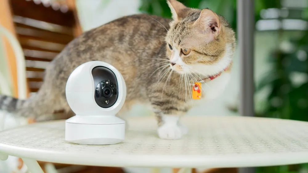 Top 5 Picks in Pet Care Technology