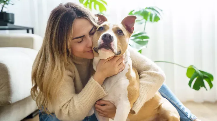 Lumps on Dogs