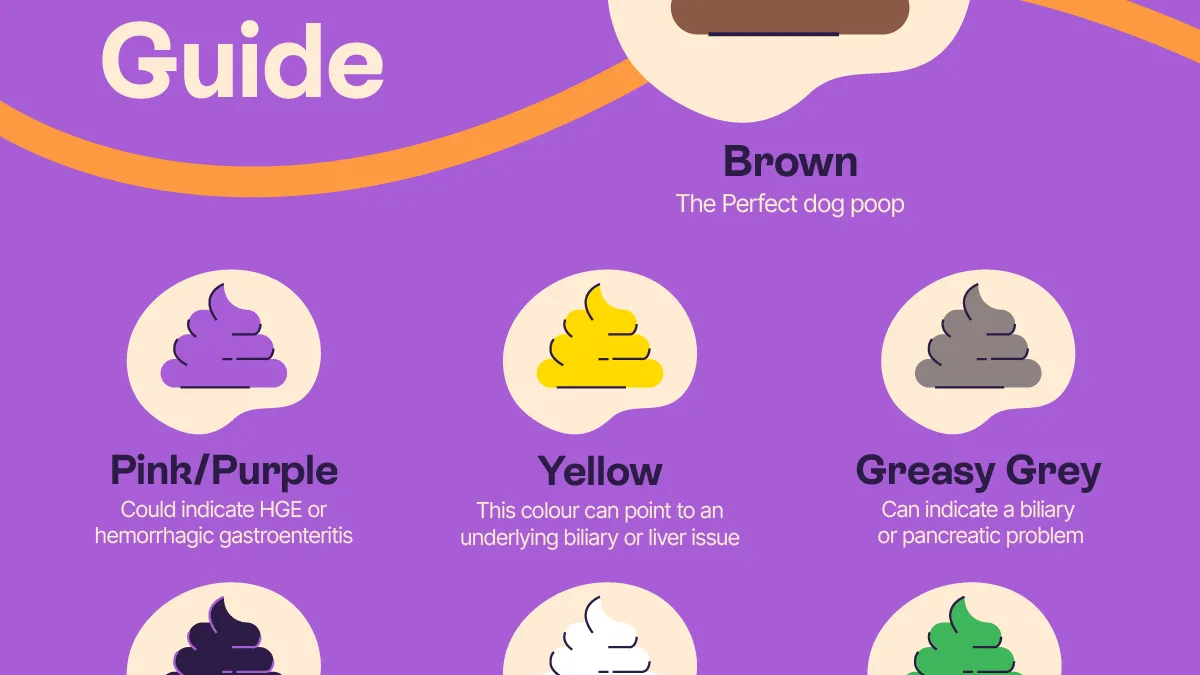 Dog Poo Colour Guide