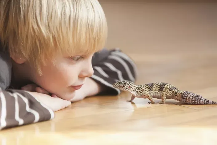 Worms or Parasites That Can Get Your Reptile Sick