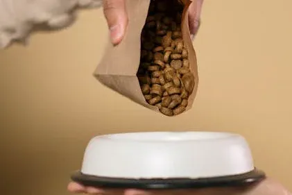 The Best Food for Dogs With Food Allergies