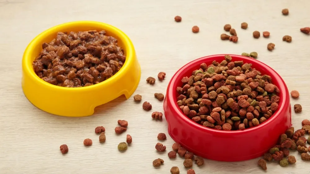 The Complete Guide to Mixed Feeding Pet Food