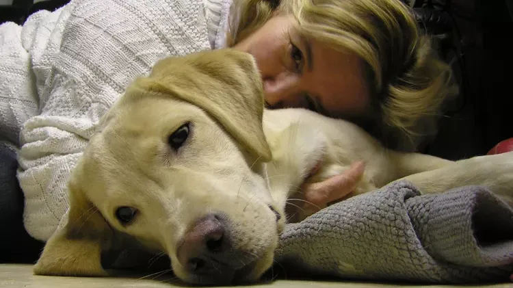 Can I Catch Heartworms From My Dog?