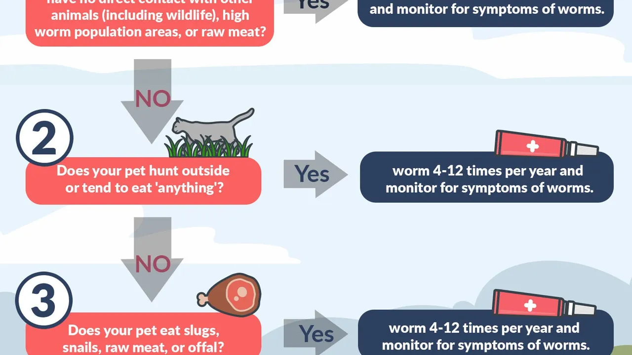 How Often Should You Worm Your Pet?