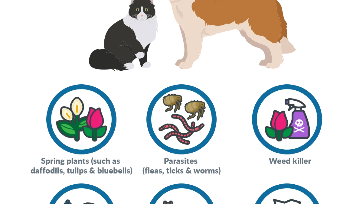 Spring Safety Tips for Pets