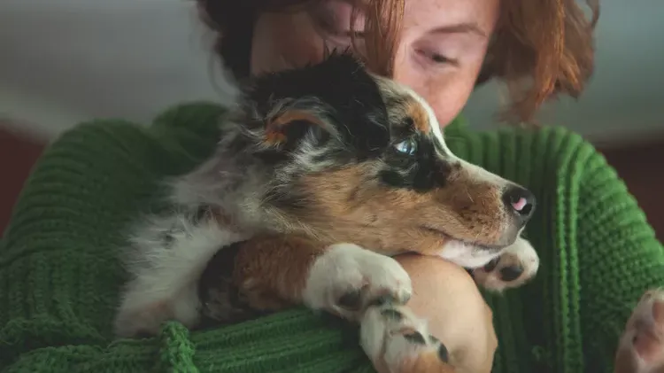 Deworming Your Dog: How Often Is Necessary for Optimal Health?