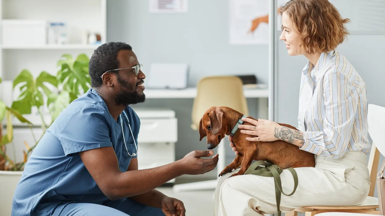 How Dangerous is Chocolate to Dogs?