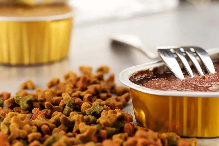 Wet vs Dry Cat Food: Which is better for cats?