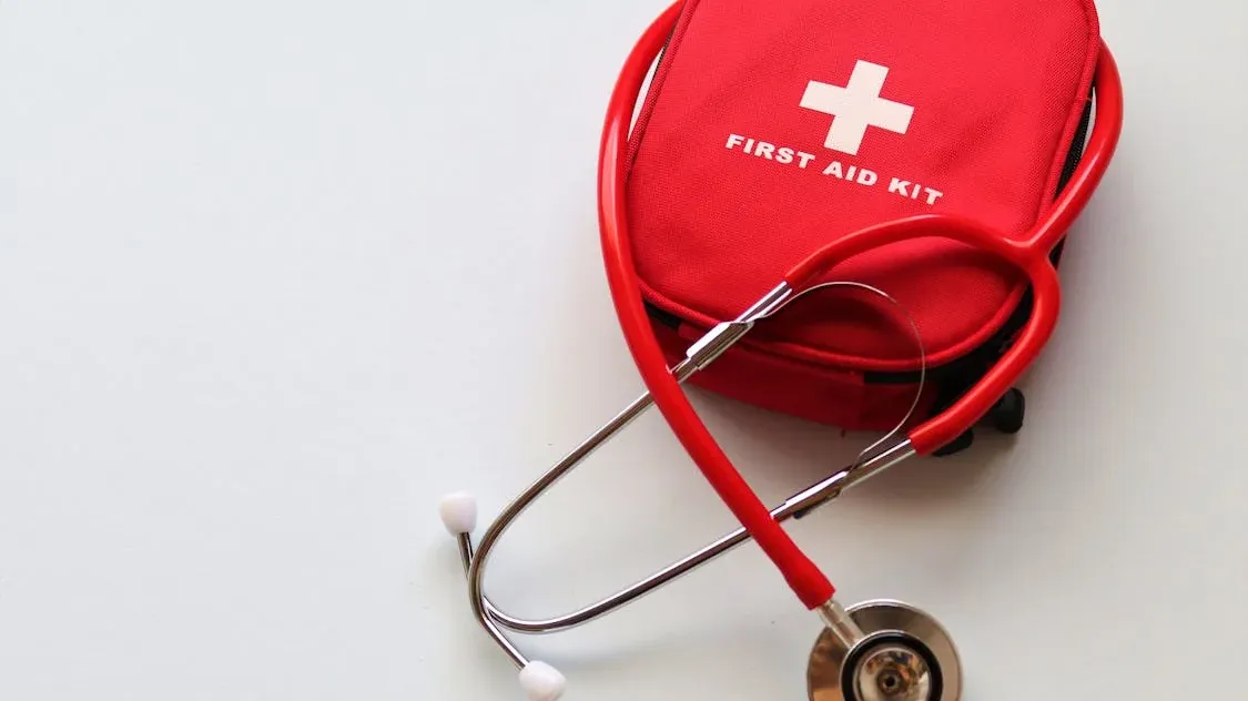 What to Have in a Pet First Aid Kit