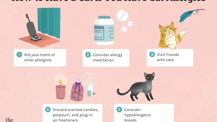 Living with Cats: Navigating Cat Allergy Symptoms for Pet Lovers