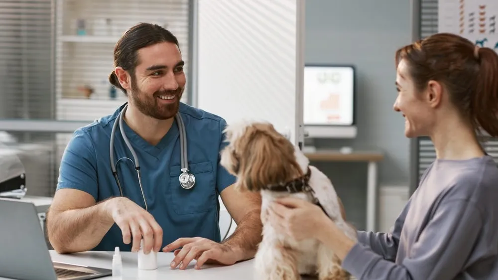 Is It Safe to Buy Pet Prescriptions Online?