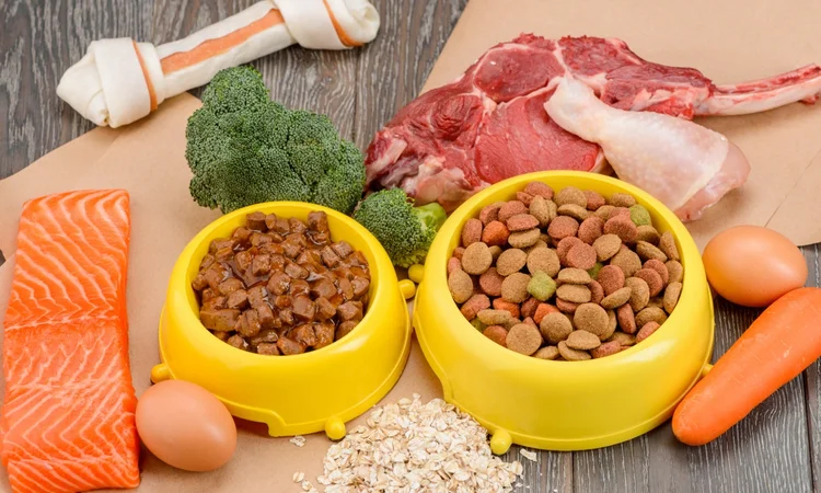 Two yellow dog food bowls, one full of dry dog kibble the other wet dog food, surrounded by ingredients, inlcuding a salmon fillet, carrots, eggs, broccoli, meat fillets and dog chew bones.