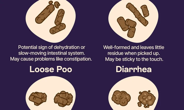 A visual guide of dog poo consistency which explains what different consistencies may mean.