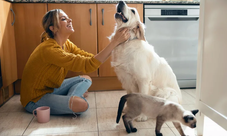 A blonde owner in a yellow jumper sitting on the kitchen floor to make a fuss of her golden retriever while her siamese cat wanders past. 