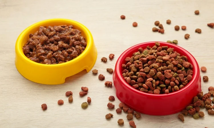 A yellow bowl of wet cat food beside a red bowl of dry cat food on a smooth wooden surface