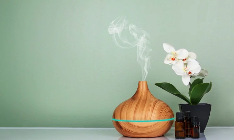 A wodden-effect oil diffuser and a potted orchid against a sage green background
