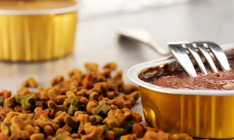A fork resting on an open tray of wet cat food with scattered kitty kibble 