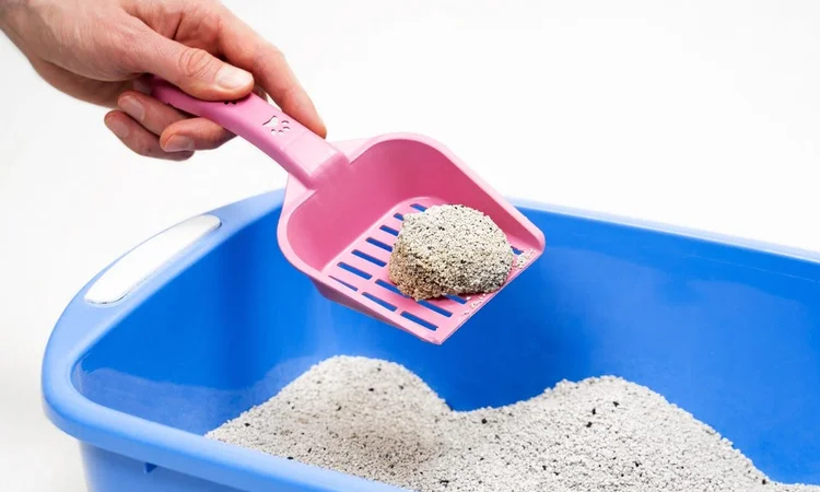 A close up of an owner scooping a clump of soiled clumping cat litter