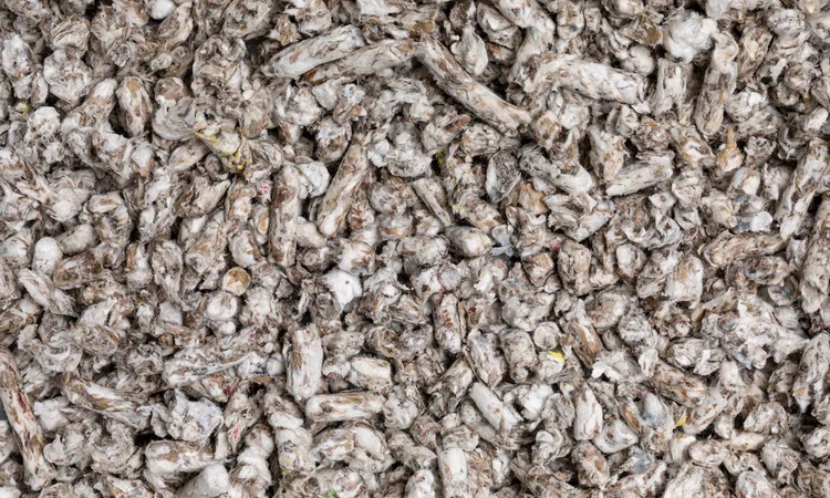 Close up of recycled paper cat litter
