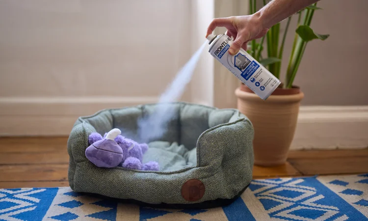Someone using Frotnline Homegard household flea spray to treat their pet's bed for fleas